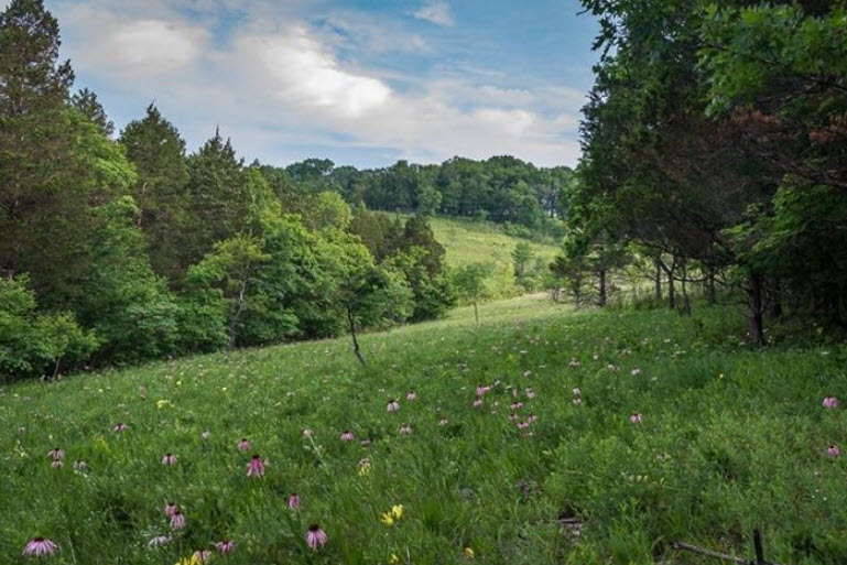 Shaw Nature Reserve, United States